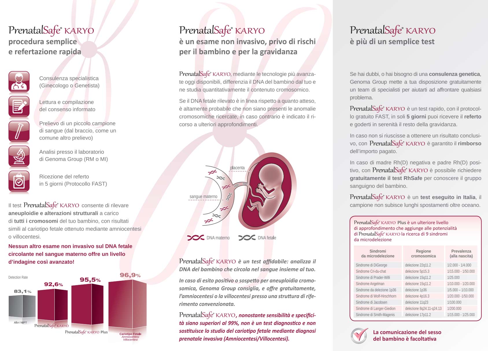 Prenatal Safe Karyo Brochure 02